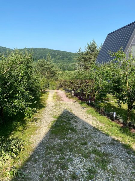 Cabane A frame + Teren 6000 mp |  Proprietate deosebita, NOU