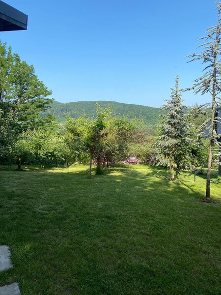 Cabane A frame + Teren 6000 mp |  Proprietate deosebita, NOU