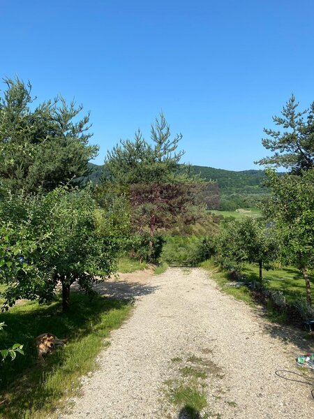 Cabane A frame + Teren 6000 mp |  Proprietate deosebita, NOU