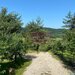 Cabane A frame + Teren 6000 mp |  Proprietate deosebita, NOU
